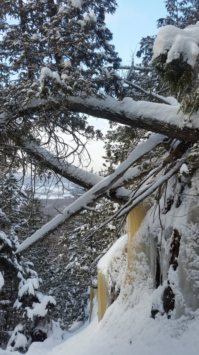 Wildeman87's tweet photo. @EASTERNMNTN nice day out on Mount Adams in the high peaks region of the Adirondacks. #Hiketheeast #Adirondacks #Tubbspanoramics #getoutside https://t.co/L0H71tb96W