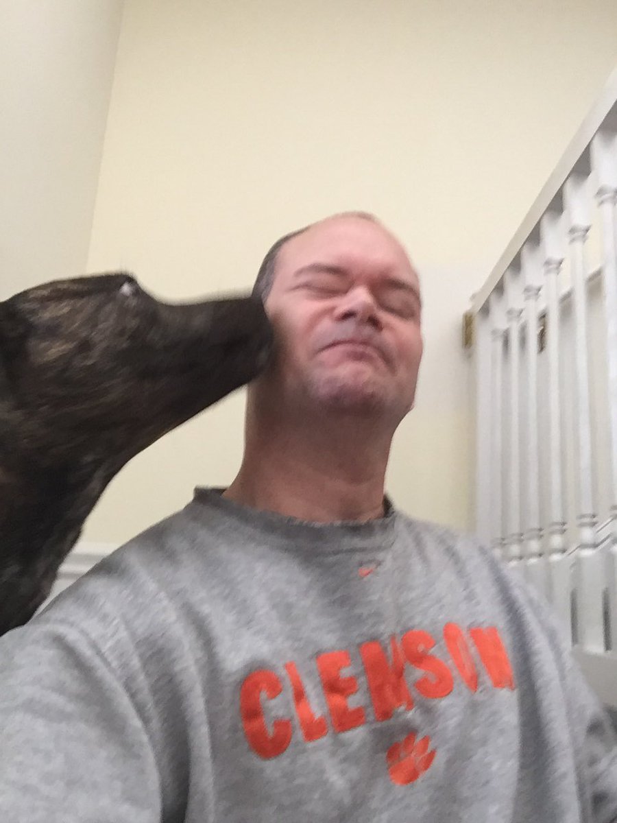 k9kayaks's tweet photo. #Sundaymorning #Boxador bathtime 🐾🐾🛀🏻 @dogcelebration @BoxerDogUnion @boxerdogtw @doggiemadness @BoxerFanClub @BoxersAndPits @LucyFan4 https://t.co/Mrz86VnDFH