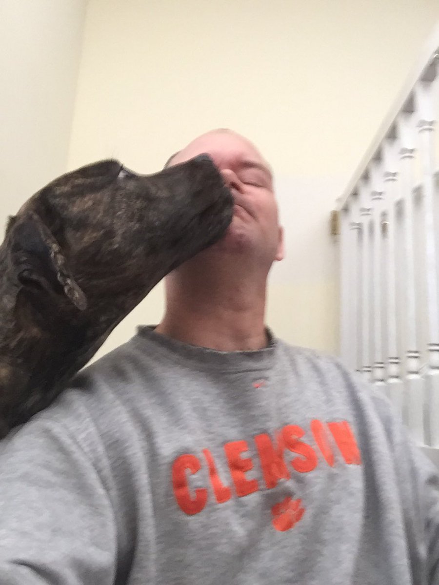 k9kayaks's tweet photo. #Sundaymorning #Boxador bathtime 🐾🐾🛀🏻 @dogcelebration @BoxerDogUnion @boxerdogtw @doggiemadness @BoxerFanClub @BoxersAndPits @LucyFan4 https://t.co/Mrz86VnDFH