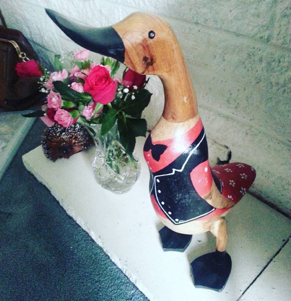 nikkikates101's tweet photo. The latest addition to my mum and dads living room. Reggie the running duck! #ducksofinsta… https://t.co/yXoGTZTSv9 https://t.co/wCJ7xVT6Jy