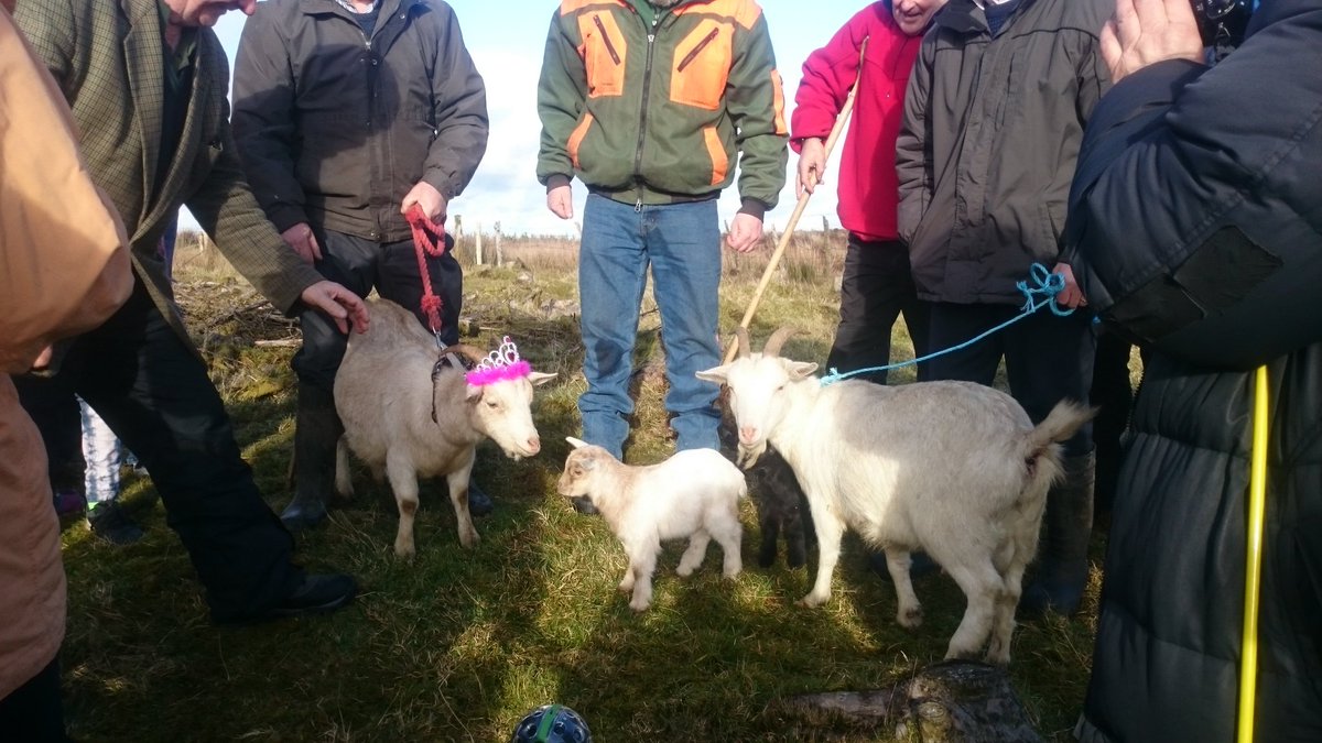 Slieve Bloom Assoc tweet media