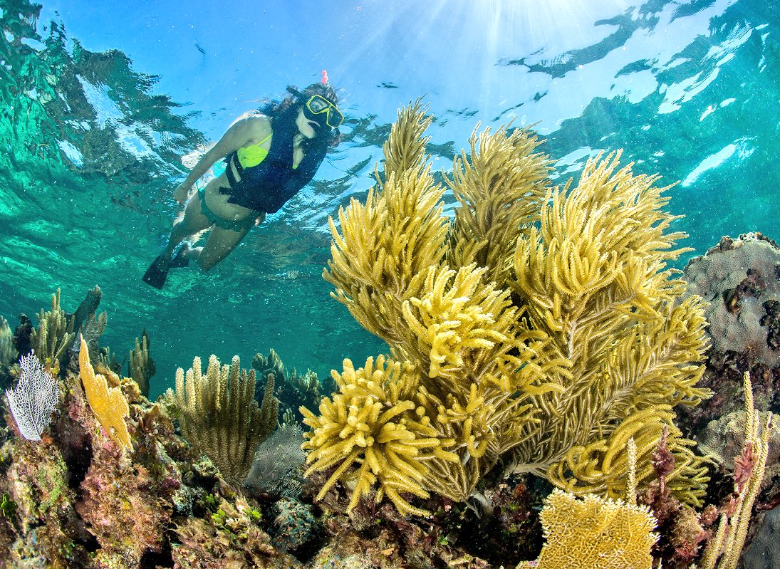 Natleno's tweet image. Conectarse con el mar es conectarse con uno mismo #ViajemosPorQuintanaRoo #DeAquiSoy #Snorkel
