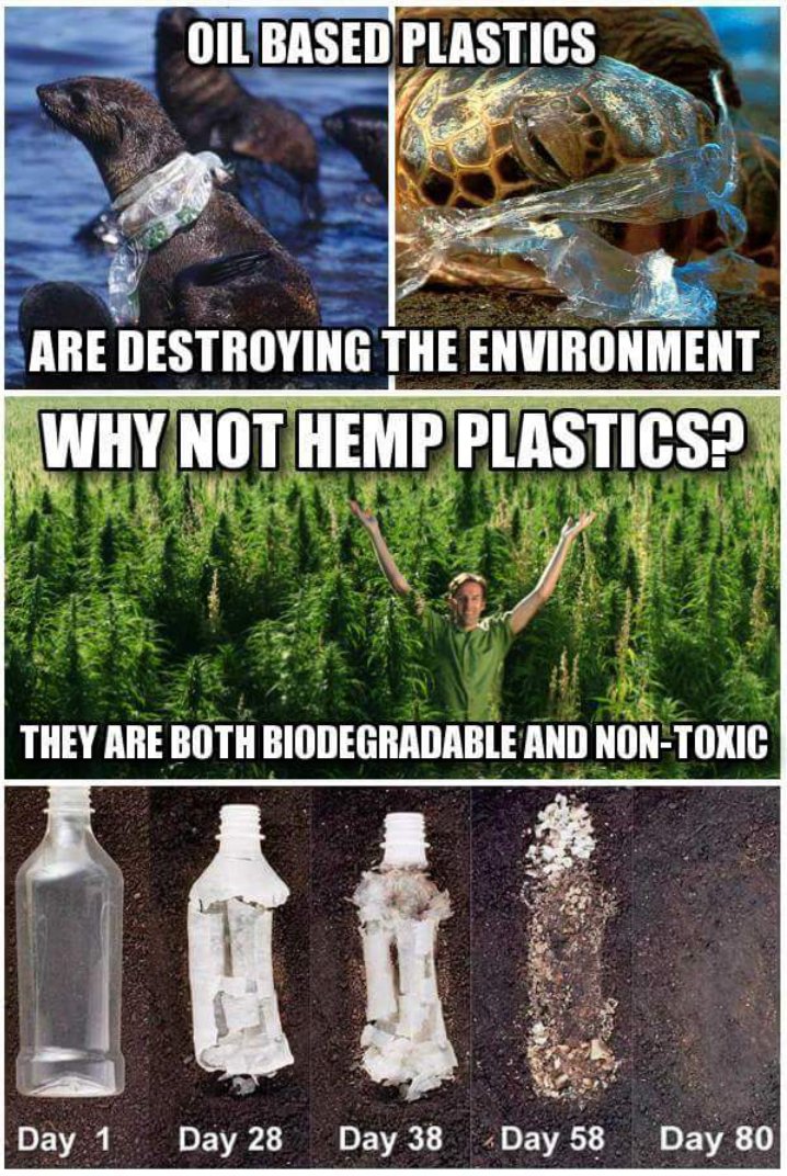 HempHelps's tweet image. #HempPlastic is biodegradable and nontoxic! Retweet to spread awareness