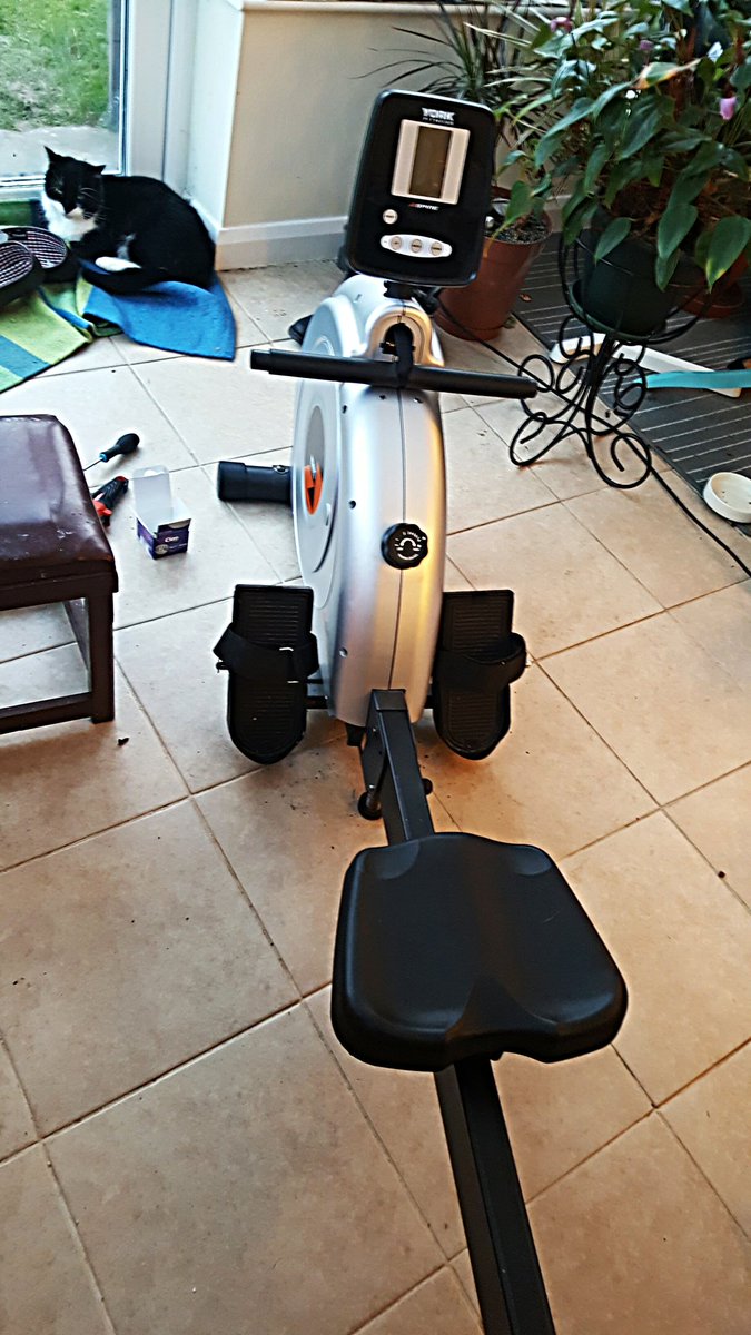 JTstudio6's tweet photo. At last - rowing machine repaired! Augs the cat approves too #rowing #exercise #rowingmachine #flatstomach #FitnessGoals #catapproval https://t.co/JDAjddubJn