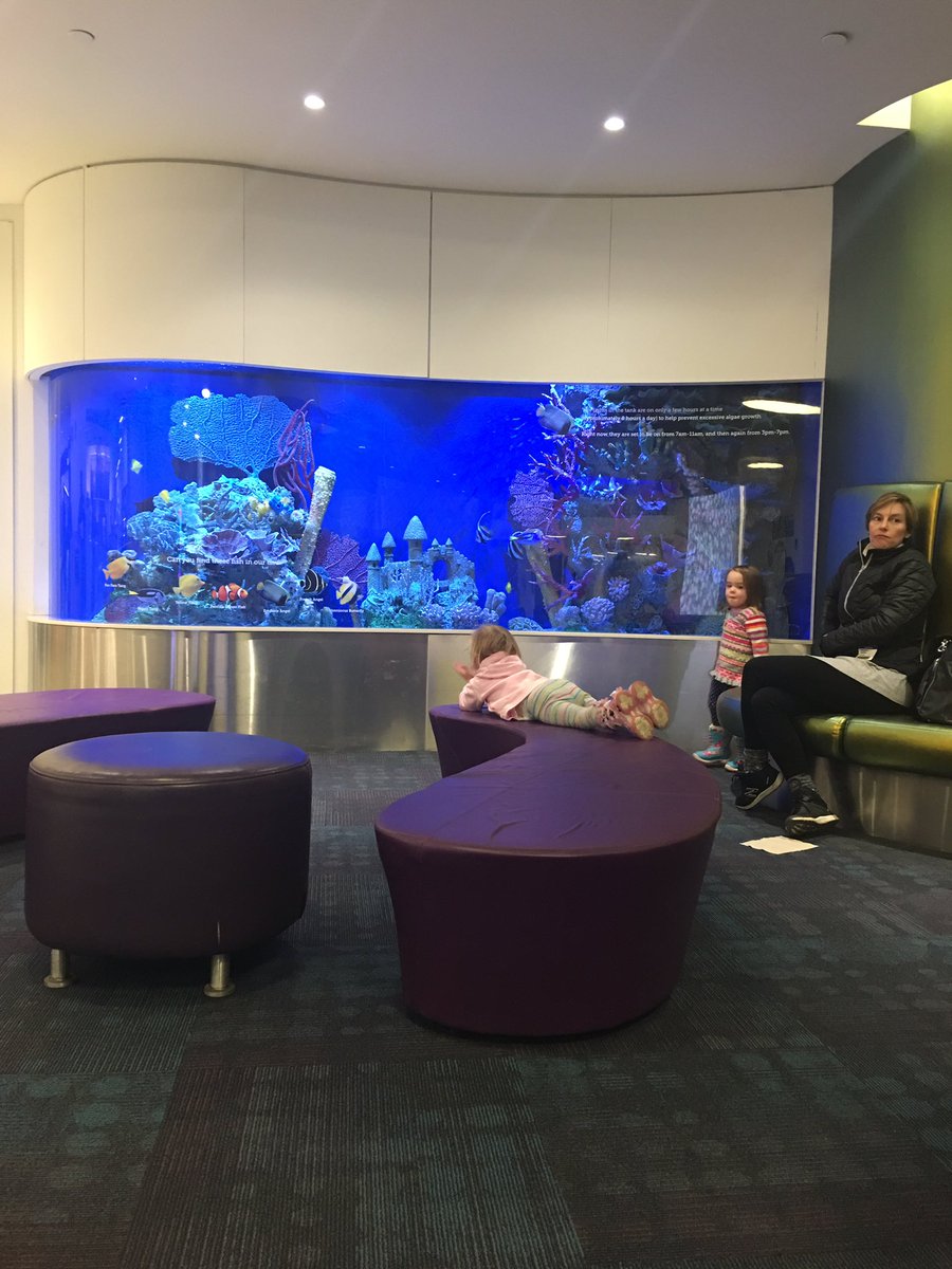 Halftime show at BCH