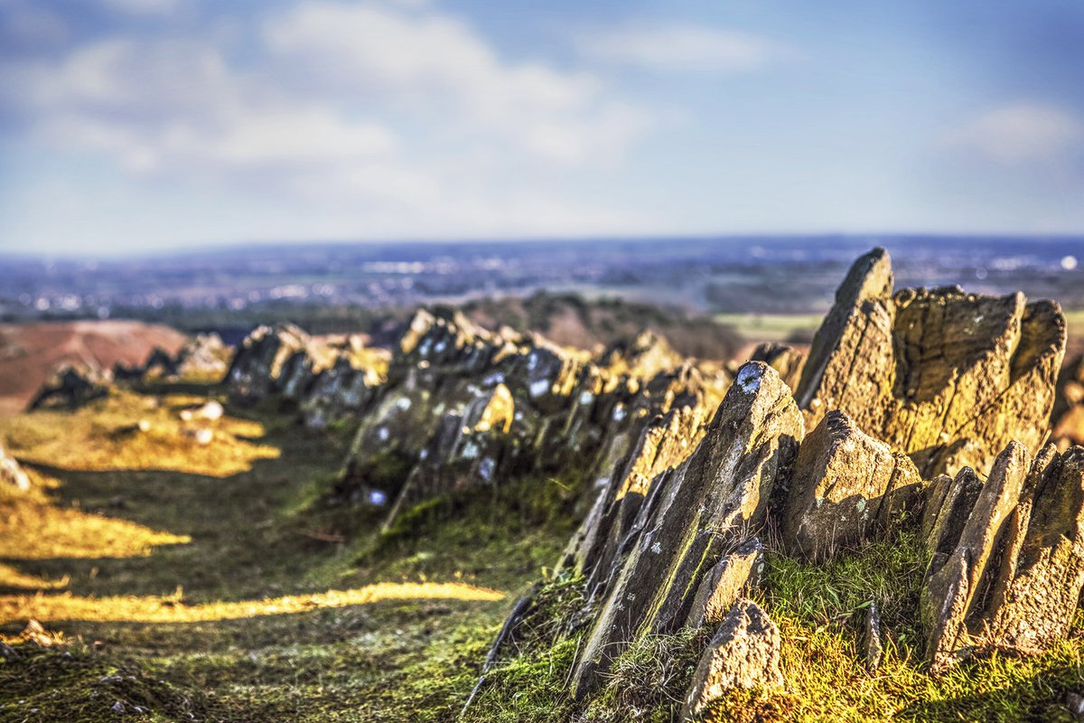 princessbphoto's tweet photo. few pics from #bradgate #park https://t.co/WGZKixuoxQ