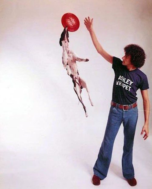 mental_floss's tweet image. In 1977, Super Bowl pre-game entertainment featured Ashley Whippet, a Frisbee-catching dog. #SuperBowl