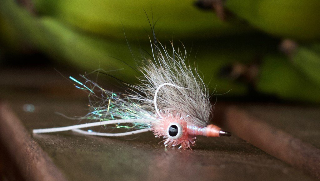 Backwater_Fly's tweet image. Bonefish Squimp Fly: Hd Fly Tying Video, Part 6 backwaterflyfishing.com/2017/02/05/bon…