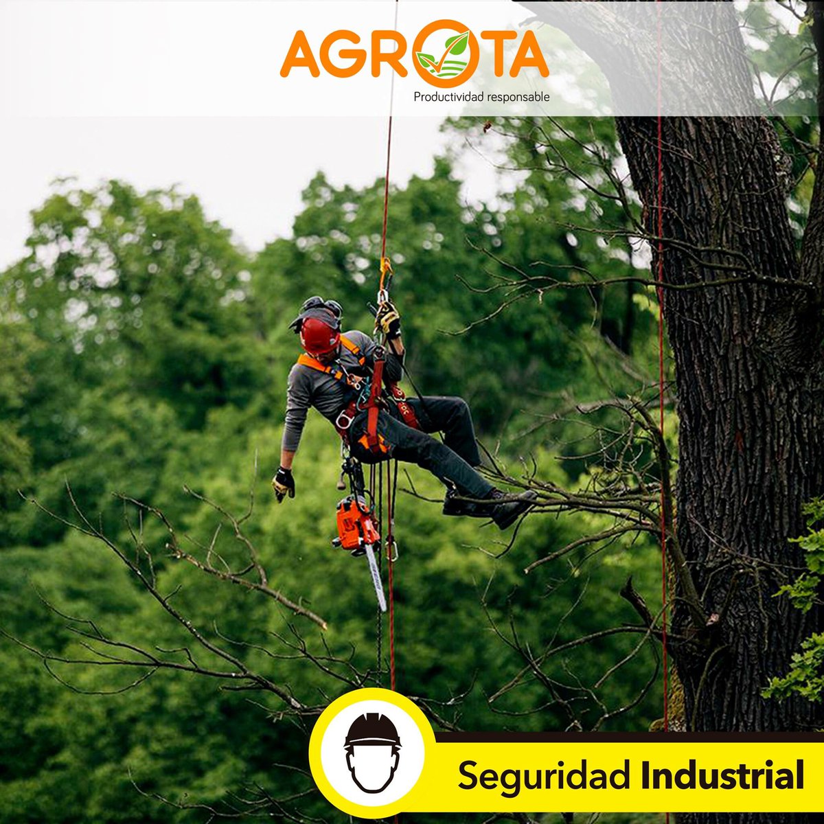 Agrota Cia Ltda (@AgrotaEcuador) / Posts / X