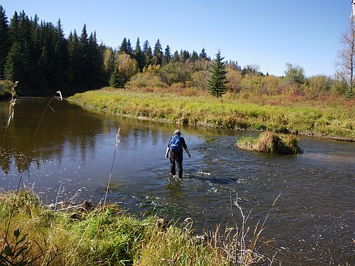 bluebulrush's tweet photo. For 40 yrs I've been #actuallivingscientist studying #Alberta's postglacial landscapes &amp; palaeoecology. I love to wade into #research! https://t.co/LJCIHywlAr