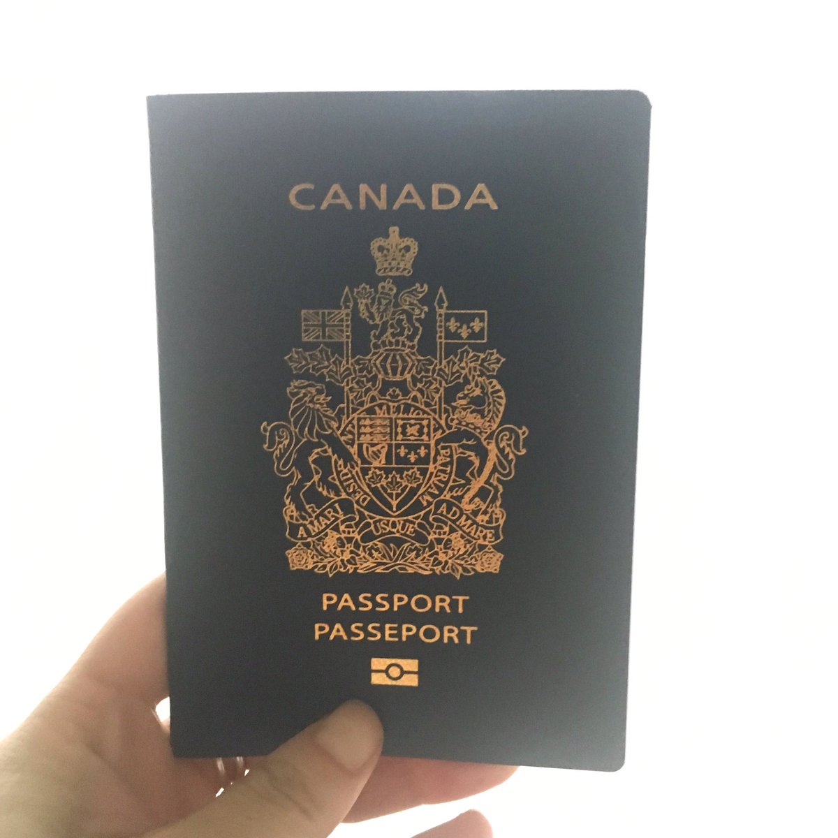 tchingrita's tweet photo. 2017 has been pretty decent so far. Glad to have a fresh and new #passport to fill up with #travel, #surfing and #adventure 🗺 #wanderlust https://t.co/rqaVtzVe8p