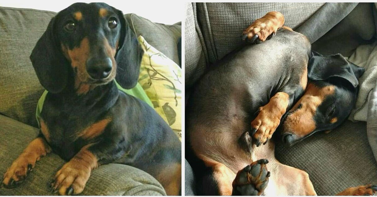 Ohcherry22's tweet photo. Me watching Basketball vs me watching Football...
#imjusthereforthesnacks #halftimeshow #commercials https://t.co/D9cQnBh0hj