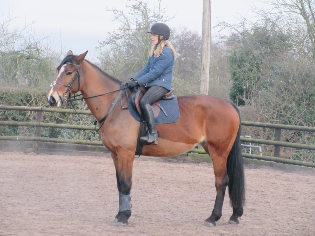 benebatchlock's tweet image. Love my Saphs💗💗💗🐴