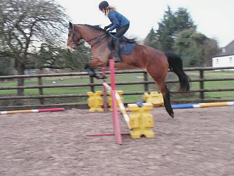 benebatchlock's tweet image. Love my Saphs💗💗💗🐴