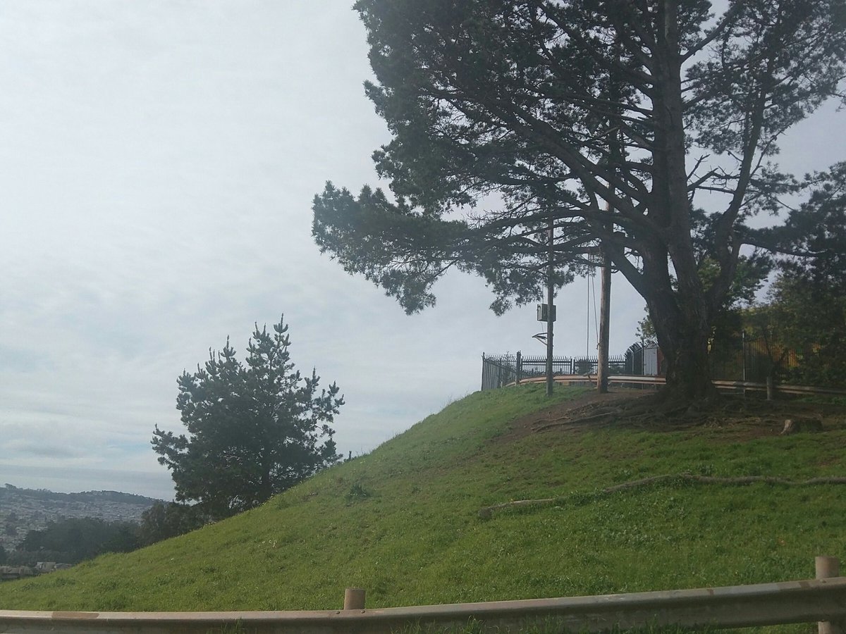 bernalSwing's tweet photo. Lazy Sunday swinging. Clear skies and slight breeze. Come up to the top of Bernal to swing and pet a dog! https://t.co/XKVTkfPQUk