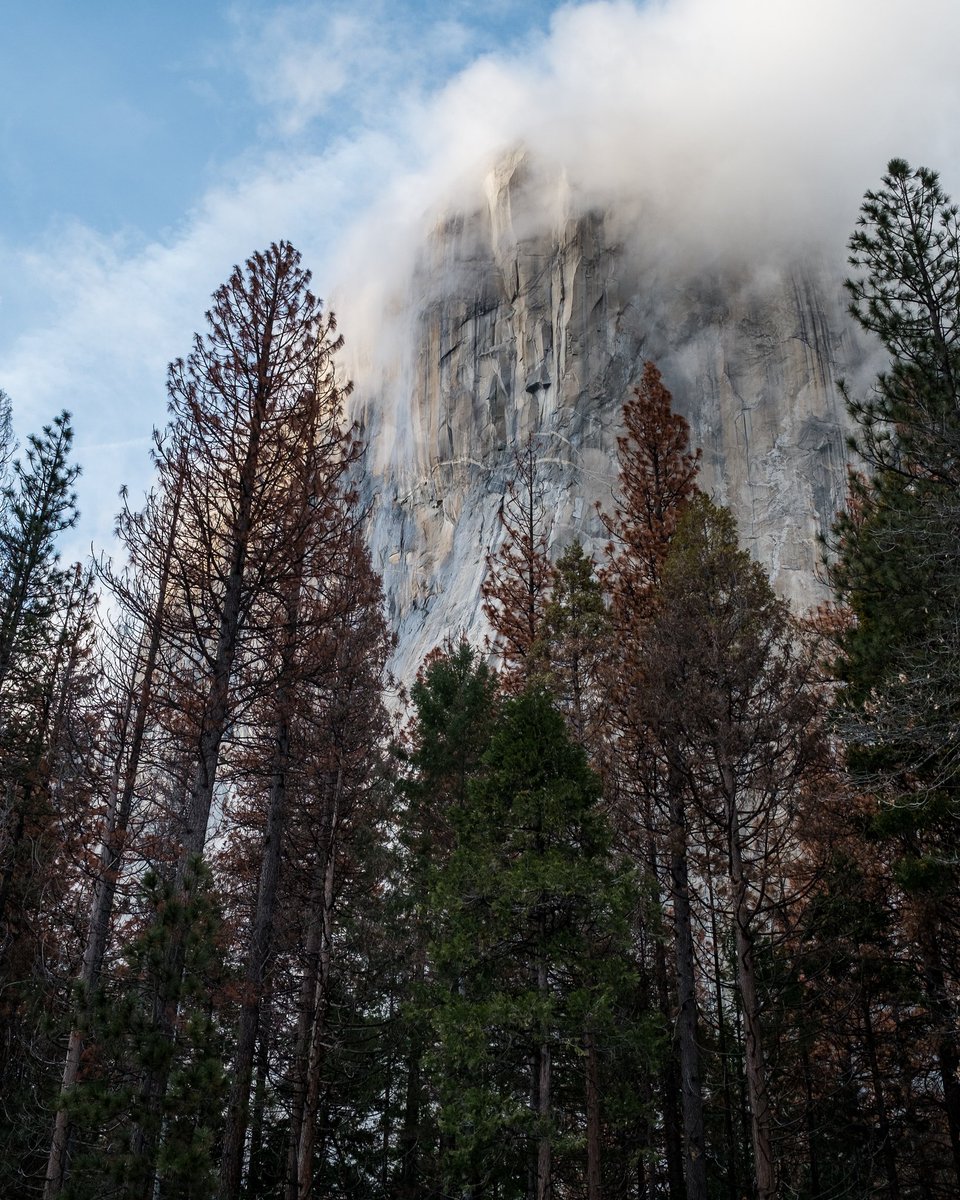 ToroTroy's tweet photo. @ABC30 @KSEE24CBS47Desk @KMPHFOX26 @YosemiteNPS @yosemitenation @YoseConservancy @stokedvision @weareouterknown @FujifilmUS @FujiXForum https://t.co/dPij1ny618