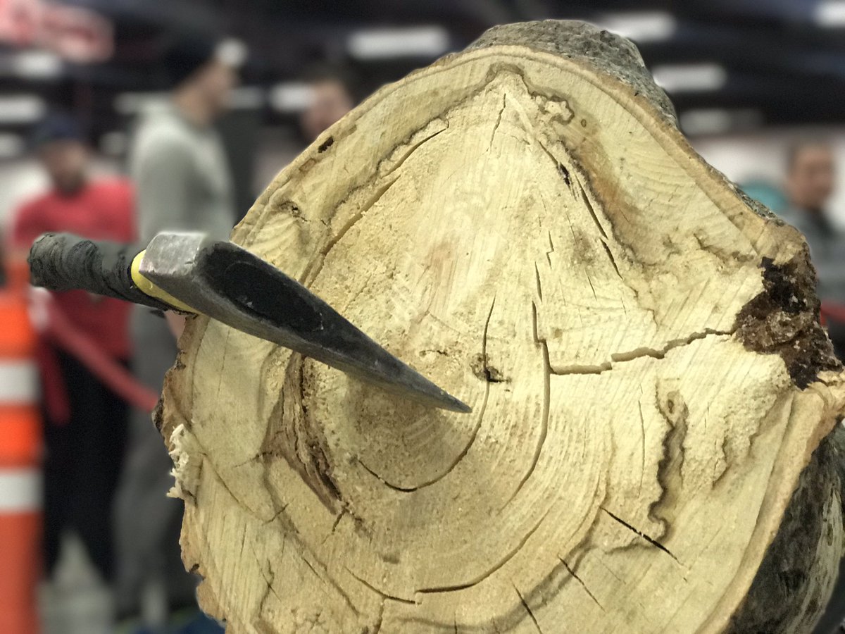 We are about to throw some axes with <a href="/JackAxeyeg/">Jack Axe</a>!  Look out!