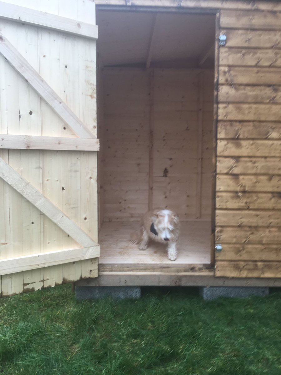 IAmTobyTheDog's tweet photo. Woof
There appears to be a giant dog house where I normally empty my bowels. What size of dog do they think I am?
#doghouse #notouthouse https://t.co/XjVEO9H889