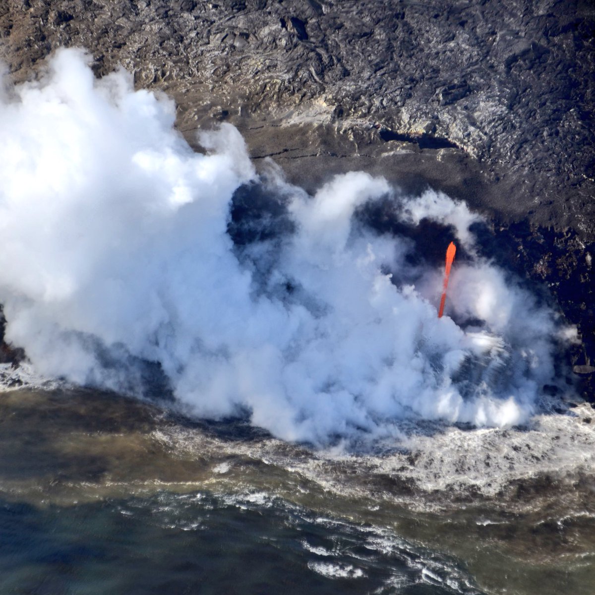 Sue Evans tweet media