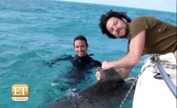 Rest peacefully in blue water heaven #RobStewart. Your legacy will live in many hearts 💙Love to the 💔 #Sharkwater #Sharkwater2 #SaveSharks