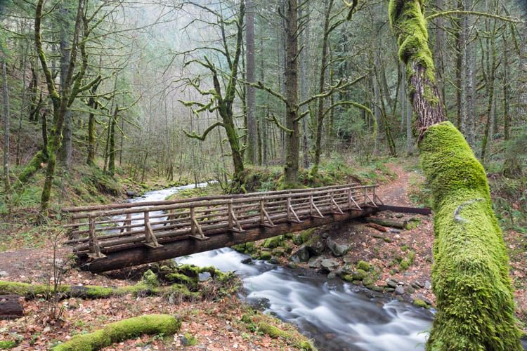nicolesy's tweet photo. "How to Photograph Waterfalls – A Beginner's Guide" https://t.co/FW6DiTdHGs https://t.co/pHxxerebkK