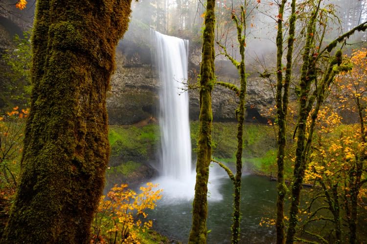 nicolesy's tweet photo. "How to Photograph Waterfalls – A Beginner's Guide" https://t.co/FW6DiTdHGs https://t.co/pHxxerebkK