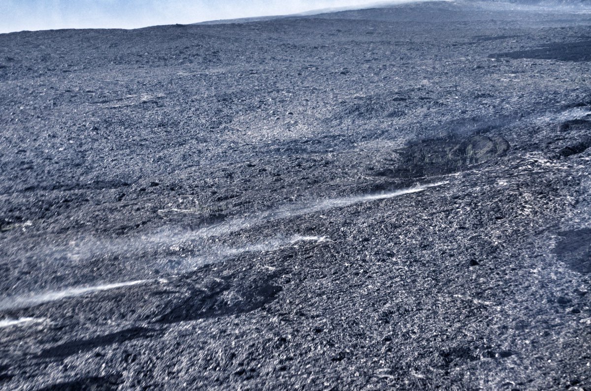 Sue Evans tweet media