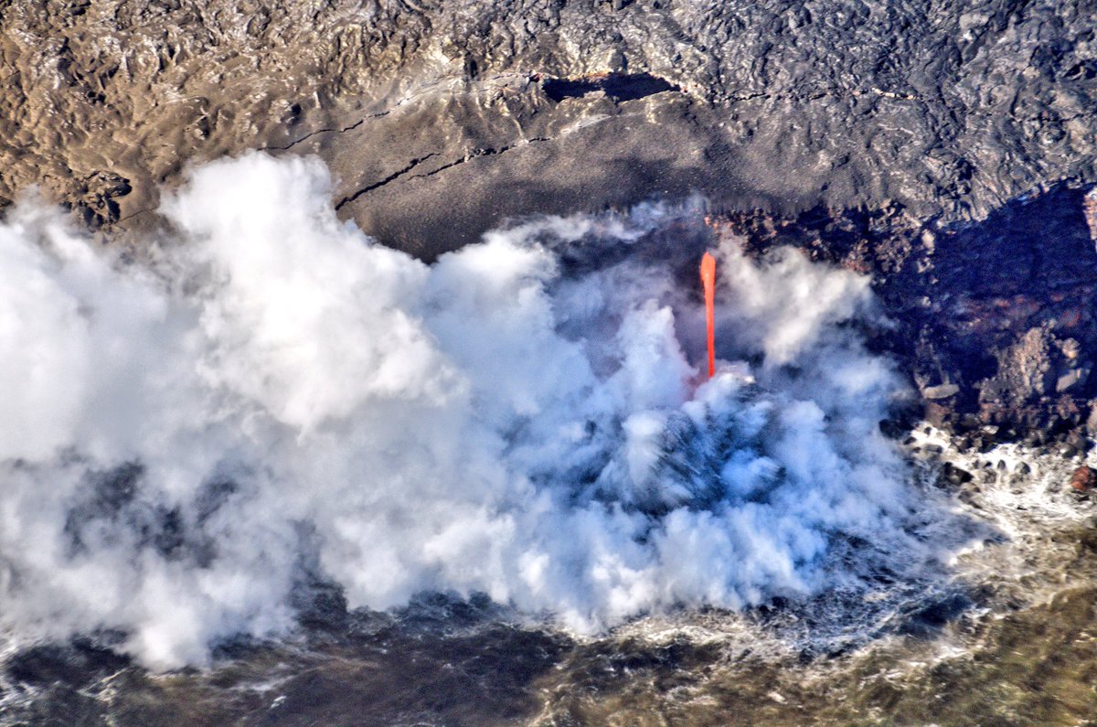 Sue Evans tweet media