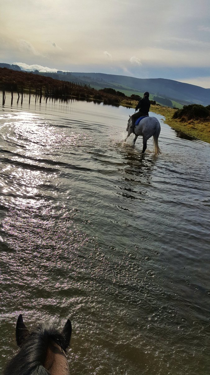nightmarehill24's tweet photo. Took this lovely shot of my friend on her horse @visitwales @MidWalesMyWay #radnorforest #littonhill #winterday #SundayBrunch https://t.co/B0ehH0M6NQ