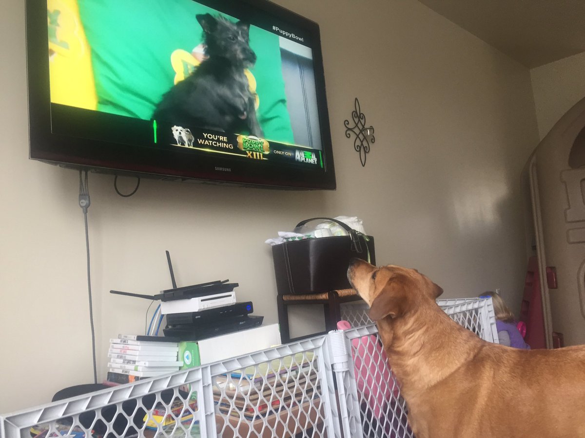 #PuppyBowl