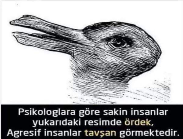 LimonHane's tweet photo. https://t.co/gTdPkgPnCg