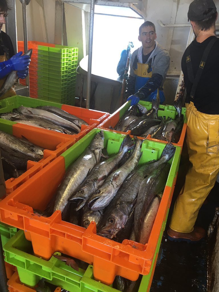 NewlynFishing's tweet photo. Aware of the "Consumer Demand" 4 @MSCintheUK 'Sustainable' #CornishHAKE @Ajax_Hake NOW rtn's for MonAmMkt #pollack #Hadds @ThroughTheGaps https://t.co/mGUI2042ux