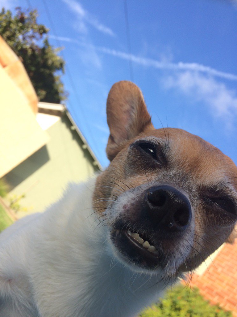 Straight Pin Studio (StraightPinLa) Twitter