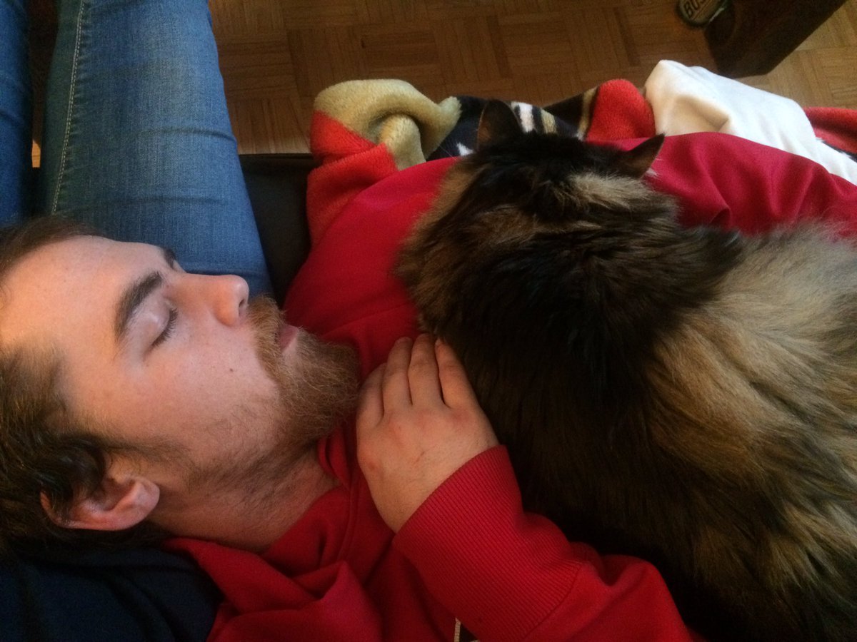 mhaarvey's tweet photo. My babies 😍 #sundayfunday #cuddles https://t.co/ppAE3TCgqd