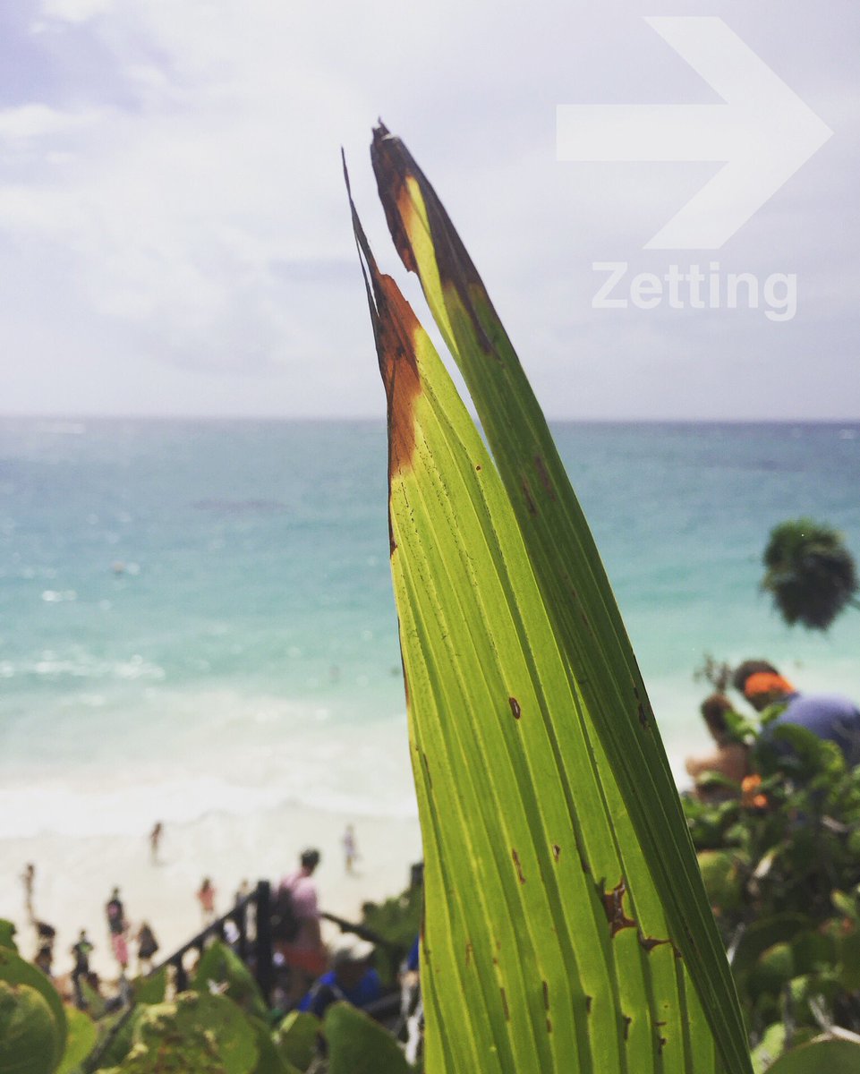zackrussell64's tweet photo. Wave hello to summer! It's just around the corner! Where will YOU go? @ZettingTravel 
#Zetting #ZettingTravel #Mexico #Tulum https://t.co/NVsMhC3oNT