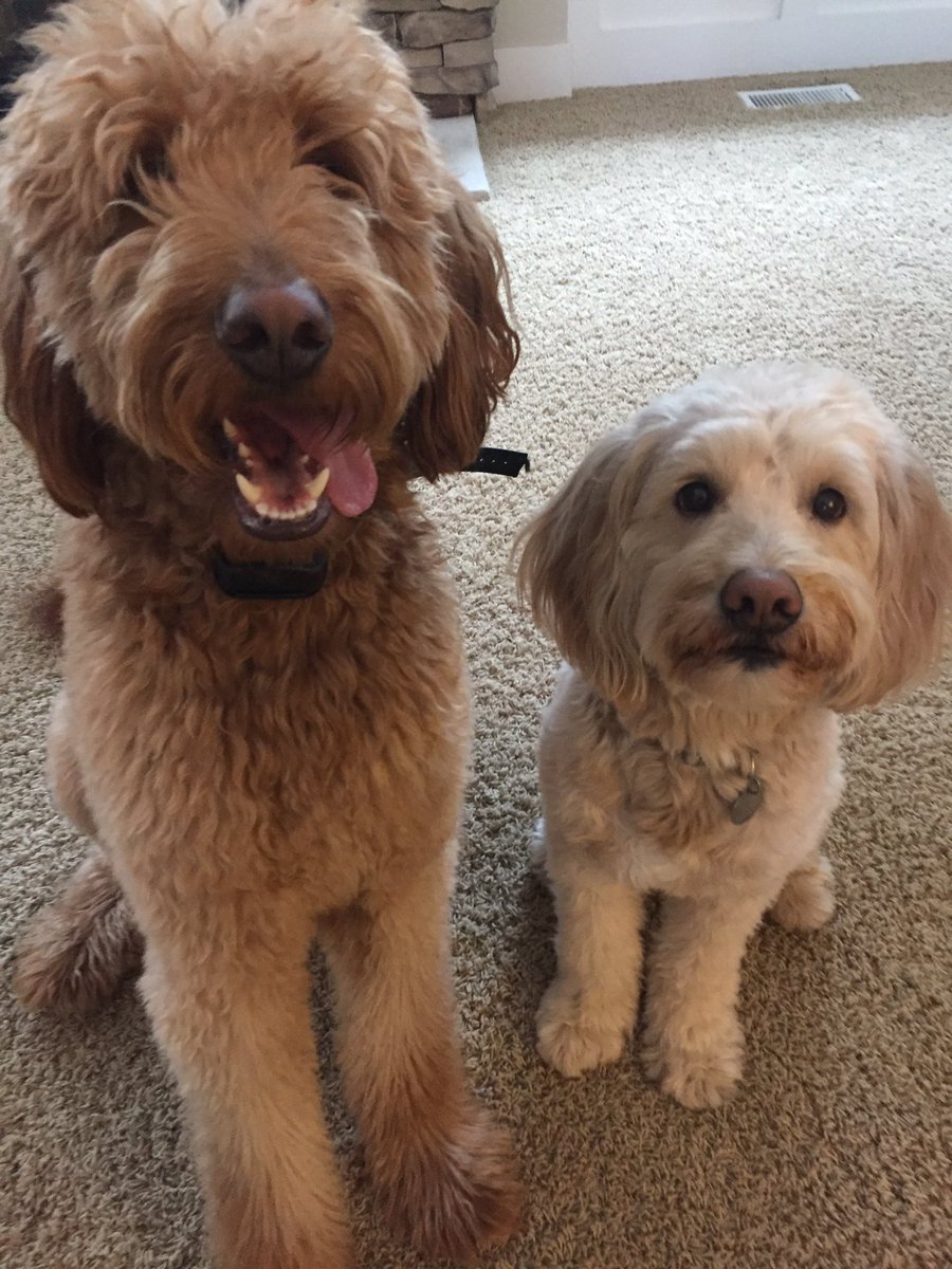 Nichole Nienhuis tweet media