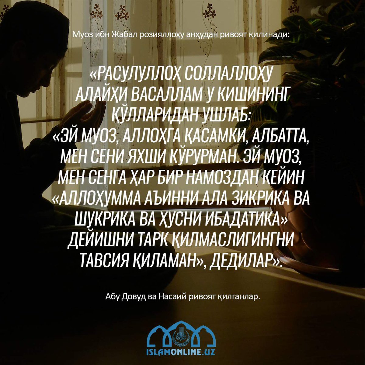 Islam Online (@islamonlineuz) on Twitter photo 