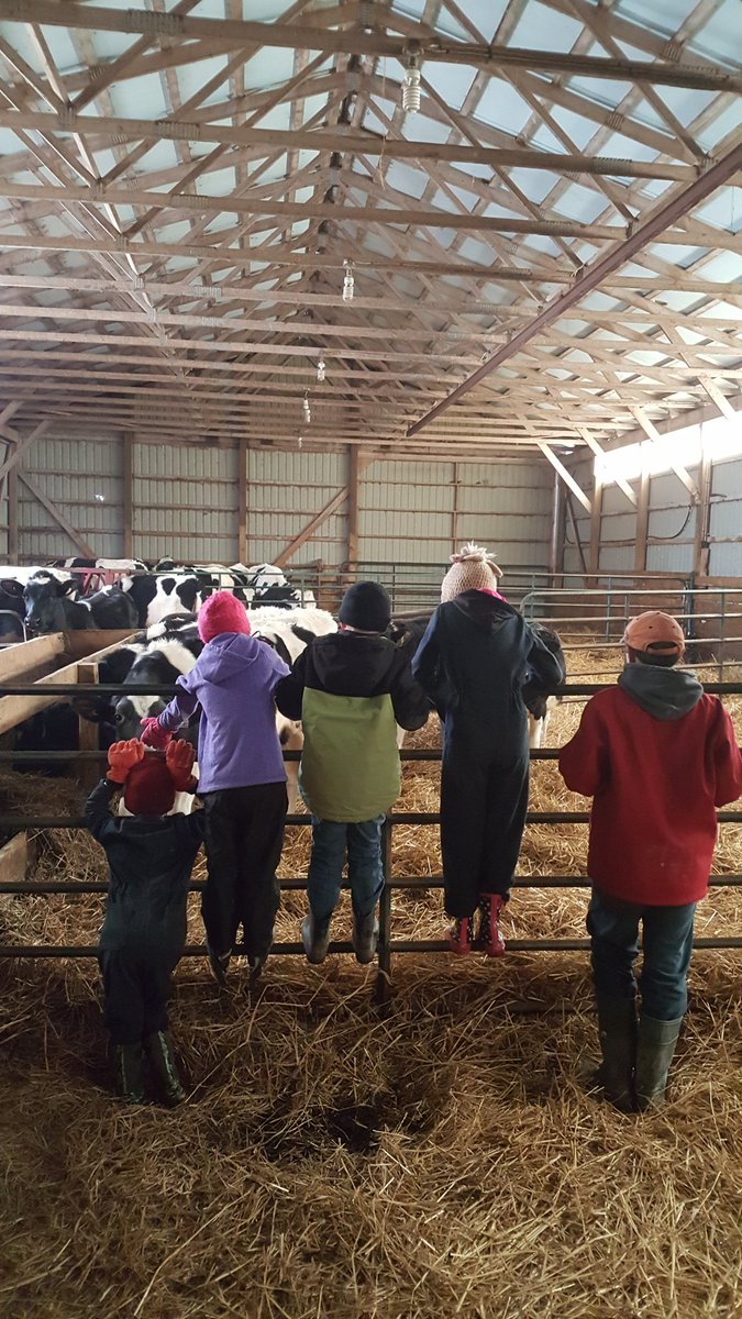 KentDairyEd's tweet photo. Nothing like a 4H rally night to get kids interested in showing a calf! @ChathamKent4H @melissapaulW @RobReid19 #futureshowman https://t.co/IwquRrK5CF