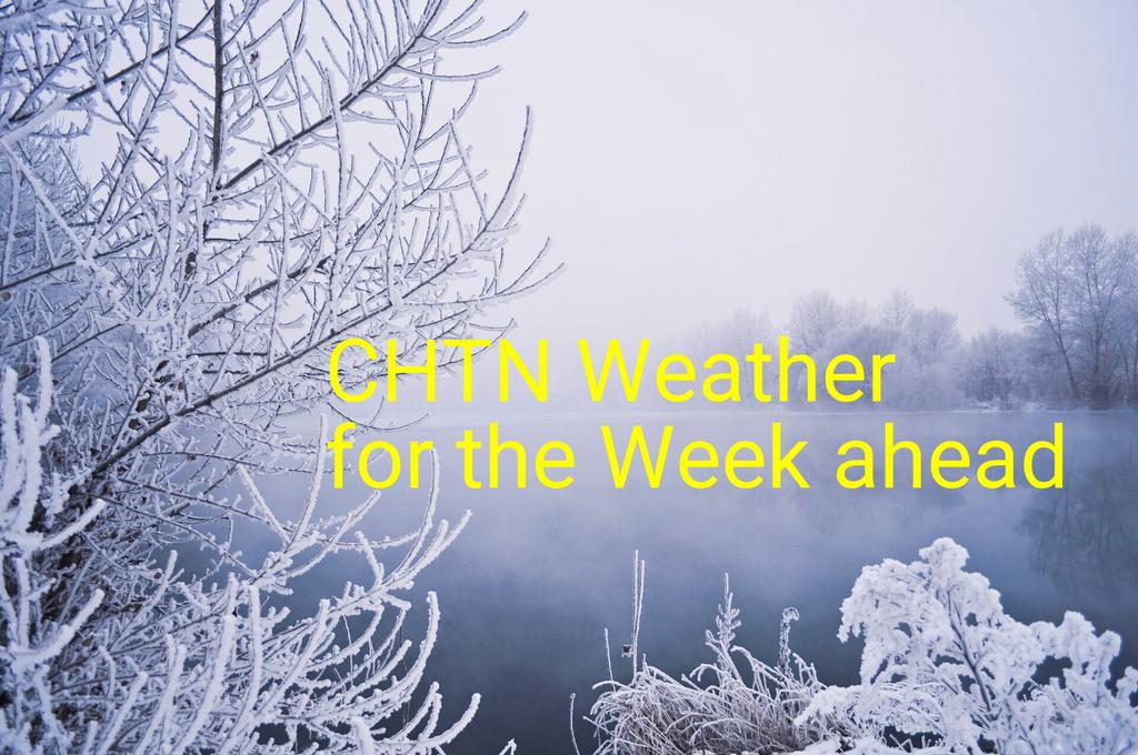 Jamie Cardy (CHTN) tweet media