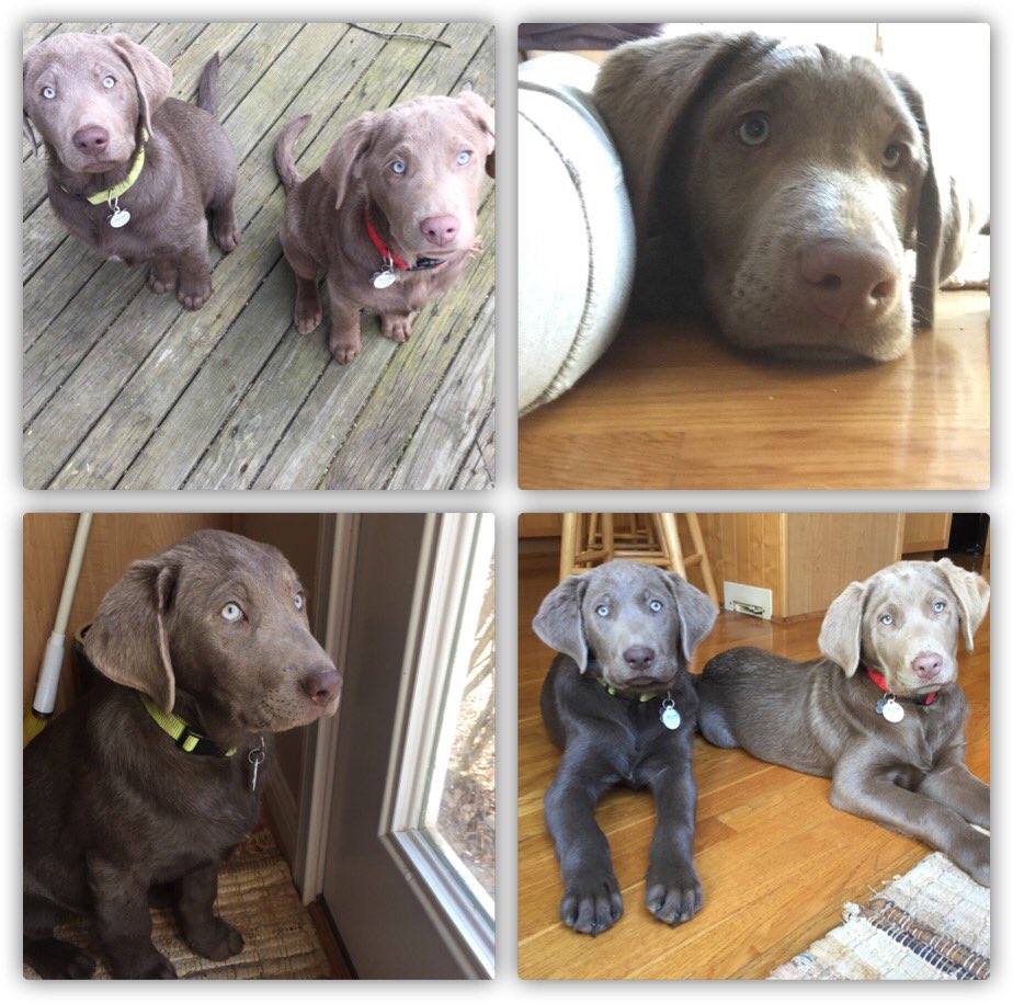 Update: they're still adorable.