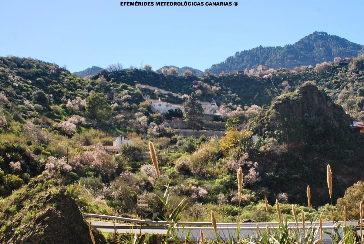 Efemeridesmeteo's tweet photo. Almendros en flor. Manto blanco en barrancos y montañas de Valsequillo (Gran Canaria) #fenología @MeteoRTVC @meteoGCcom @_canaryweather https://t.co/DDs6M5BijV