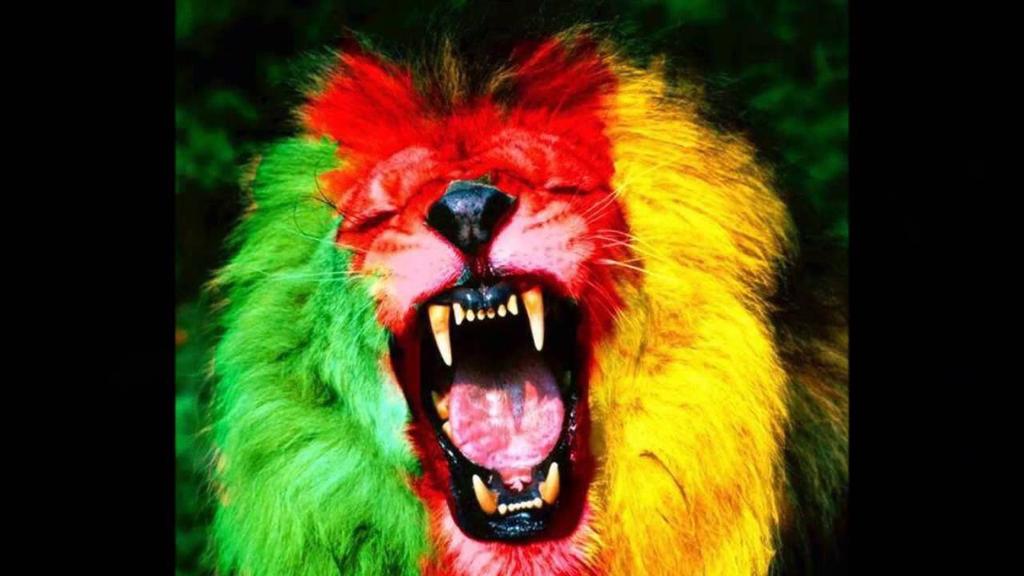 LeDucDuMonde's tweet photo. Bravo 👏  🎩 ⚽ c'est la victoire de tout le continent Africain 🌍
#Can2017 
#finalecan2017 
 #Cameroun https://t.co/gD7oHPVbHv