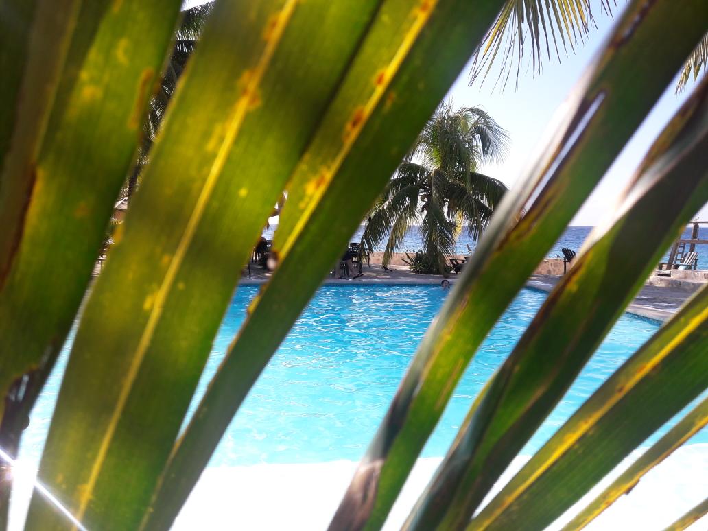 Djtrejo's tweet photo. Te imaginas en ese sillón, #VisitaCozumel #Buccanos @MexicoHoteles @maggymua @MexicoDestinos @VivoEnCancun @webcamsdemexico @JoseRaCastillo https://t.co/uyGbfIbNNC
