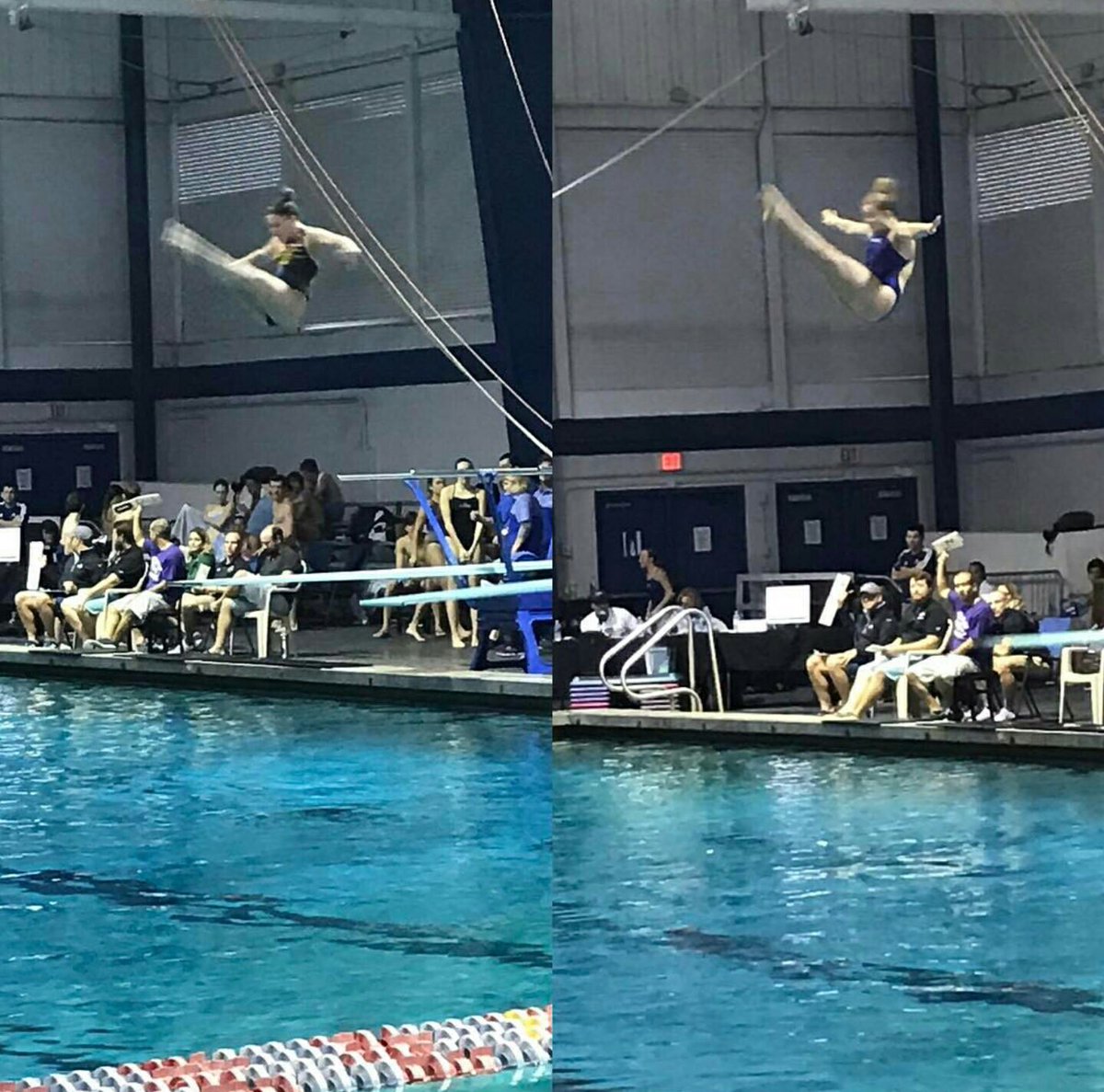 Ripfest Diving On Twitter Grace And Hannah