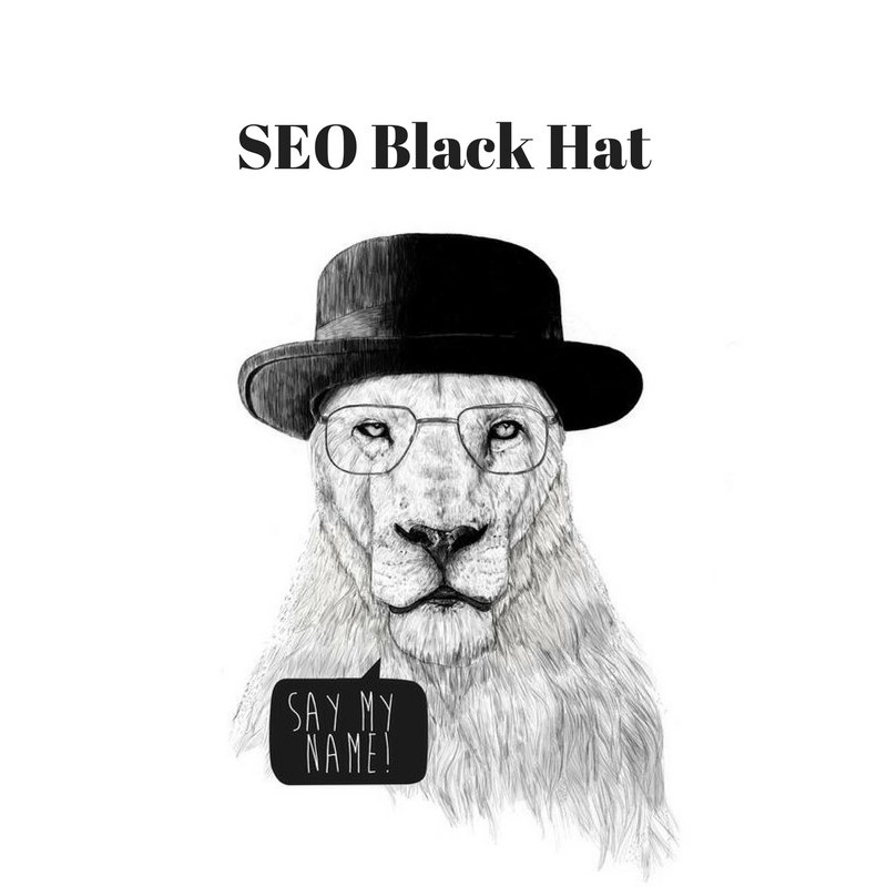 SEO Lion tweet media