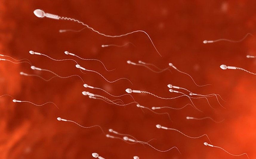 Astroglide TTC (@astroglidettc) on Twitter photo New research reveals the possibility of improved #fertility treatments & a unisex contraceptive pill: buff.ly/2kyckK4 <a href="/lauradonnlee/">laura donnelly</a> New research reveals the possibility of improved #fertility treatments & a unisex contraceptive pill: buff.ly/2kyckK4 <a href="/lauradonnlee/">laura donnelly</a>