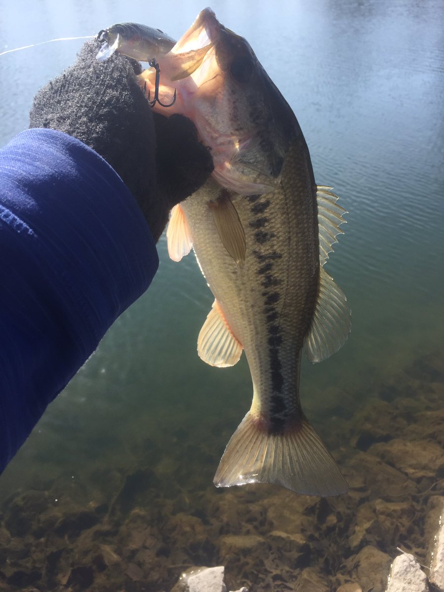 amstack18's tweet image. First bass of 2017!!! #letsdothis