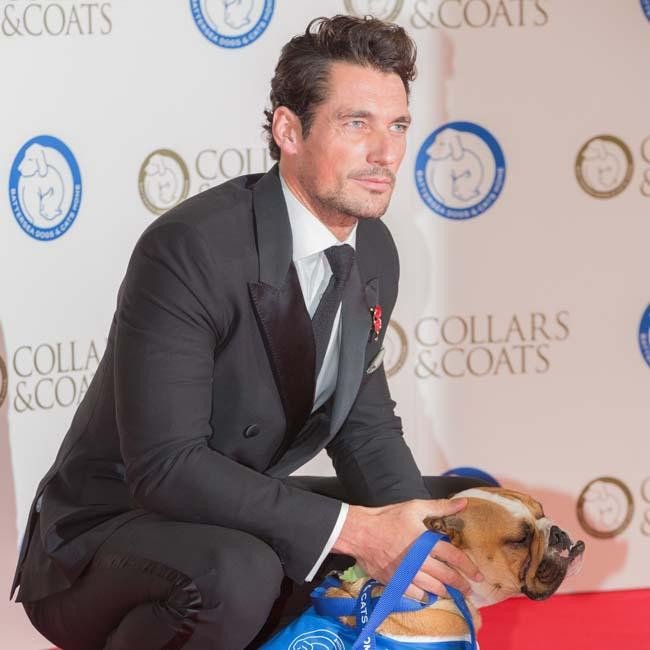 gandyisgod's tweet photo. Why so serious? #puppylove #GandySunday https://t.co/mEENvRpTWN