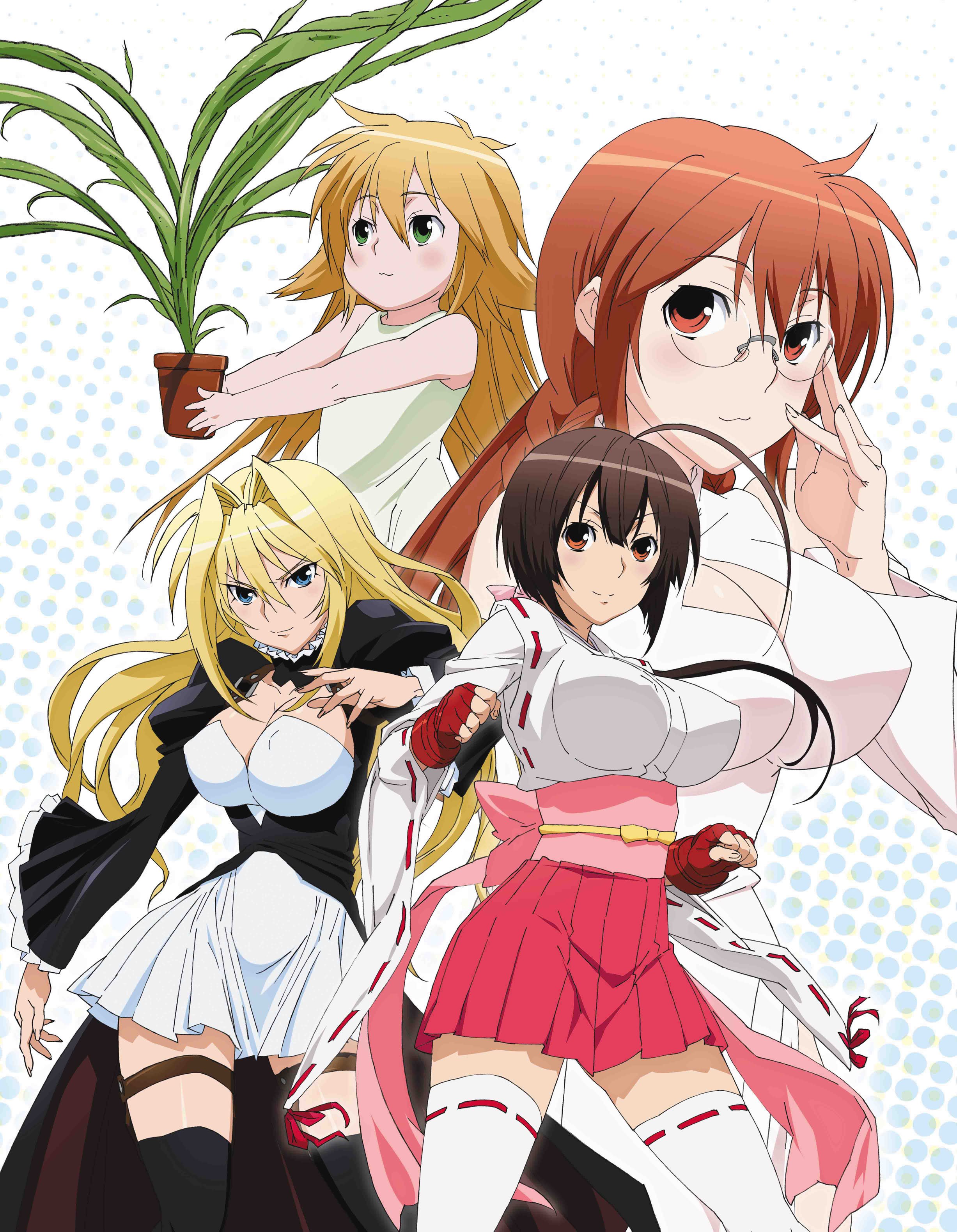 Сэкирэй (2008) (Sekirei