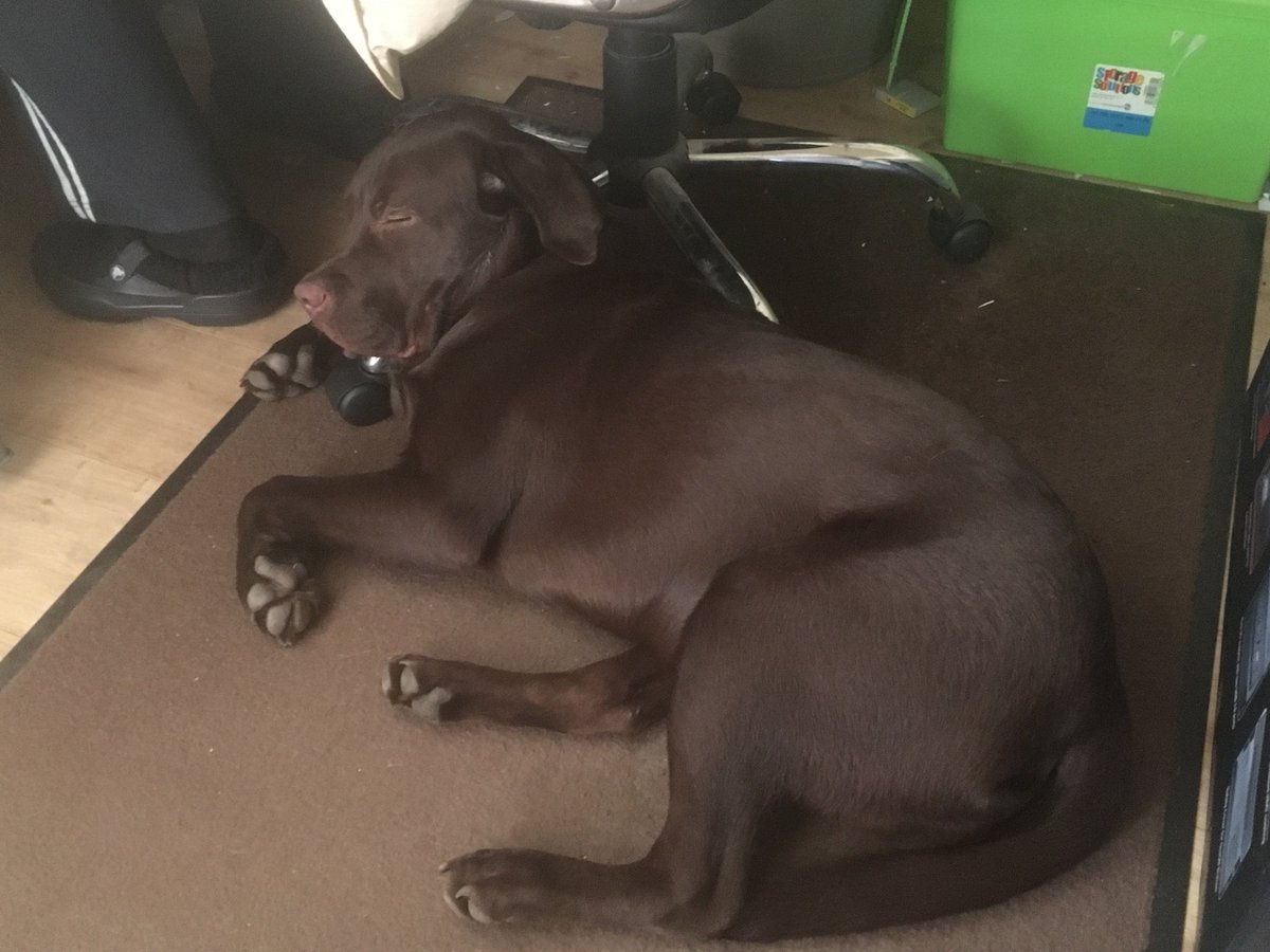 The Criminal Network tweet media